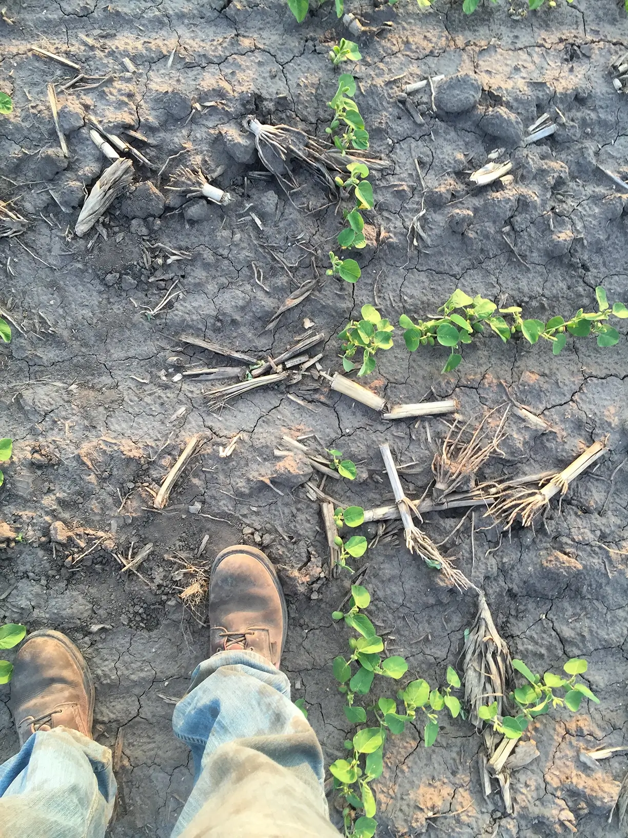 Placeholder Image A nice placholder image from Lorem Picsum